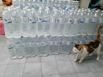 Product Review of [ส่งฟรี] 600 มล. 15 แพ็ค รวม 180 ขวด น้ำดื่มสิงห์ Singha Water from k**g 0