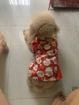 Product Review of [NÚT TÀU] áo dài tết 2025 Cho Thú Cưng. Quần áo thú cưng (chó, mèo) from P** S** 2