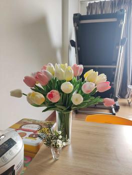 Product Review of [ 10 Bông ] Hoa Tulip Giả Decor Trang Trí Nhà Cửa Nhiều Màu Sắc 35cm - Duli.B Home from T**u S**g V** 0