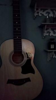 Product Review of Amaya GS Mini-1 with trussrod 36-inch rounded body with guitar bag, capo, strap, pick, extra 1 set of strings. from C**l 0