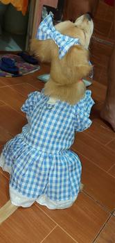 Product Review of Pet Dress Floral Pattern Pleated Hemming Windproof Pet Vest Puppy Flying Sleeve Clothes for Spring from B**y ** M**e 1