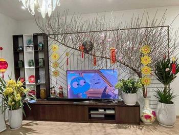 Product Review of Màn Chiếu Treo Tường Kéo Tay Apollo / Dalite 100 inch 1m8 x 1m8 - Háng chính hãng BH 12 Tháng D Phụ Kiện Kem from S**g 6**9 V**h C**g N** 0