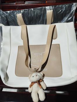 Product Review of Túi tote da công sở tặng kèm gấu TD58 from T**u M**h 2**5 2