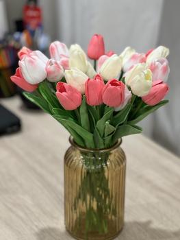 Product Review of [ 10 Bông ] Hoa Tulip Giả Decor Trang Trí Nhà Cửa Nhiều Màu Sắc 35cm - Duli.B Home from V**n B** (**) 1