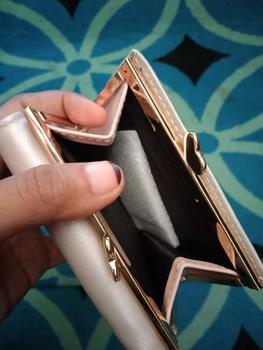 Product Review of JIUFENG Dompet Pendek Wanita Dompet Serbaguna Hewan Bordir Billfold Pemegang Kartu Kredit from R**🦋 0