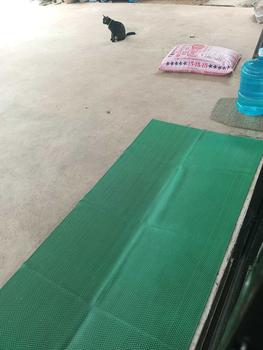 Product Review of [จัดส่งจากกทม] พรมปูพื้นยางกันลื่นPVC พรมกันลื่น กันลื่นในห้องน้ำ กันลื่นในห้องครัว ความหนา 4.5/6.5mm ทำความสะอาดง่าย แผ่นกันลื่นตัดฟรี from เ**t 0
