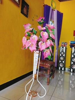 Product Review of Bunga HIAS Sudut Calalily BUNGA aron panda //bunga anthurium[COD] Dekorasi - from ** 2