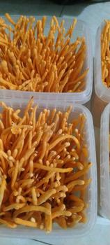 Product Review of Đông trùng hạ thảo 200g, nuôi 70 ngày, mua 3 tặng 1,vận chuyển và bảo quản thùng xốp và Đá khô, bảo hành 1 Đổi 1   đông from t**1 1