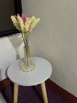 Product Review of Nordic Gold Metal Vase Test Tube Vase for Hydroponic Plant Small Bud Vase Mini Flower Vase Table Decor Home Decor from L**💛 2