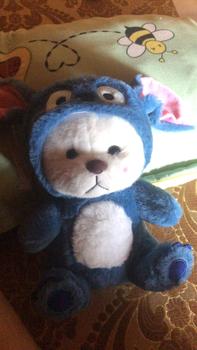 Product Review of Gấu bông lena, gấu bông lena cosplay gấu dâu cute size 26cm Thú Bông Đồ Chơi Thú Nhồi Bông Toy Phát Nhạc from ** 0