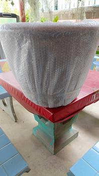 Product Review of กระถางปลูกต้นไม้นขนาด 22 นิ้ว จากพลาสติกเนื้อเงา หนา สวยมาก from p**n 0