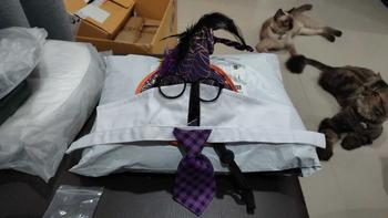 Product Review of CatHoliday Halloween Set  เสื้อแมว แต่งตัวแมว แต่งตัวสุนัข เสื้อผ้าสัตว์เลี้ยง ชุดเทศกาล from M**o 0