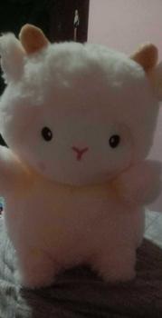 Product Review of 25CM Super Cute Sheep Plush Dolls Kawaii Rabbit Alpaca Toys Stuffed Soft Animal Pillow Birthday Wedding Party Throw Toys from ૮** ˶** ** •**ა 0