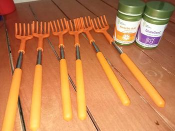 Product Review of ISMEET Adjustable Back Scratcher Retractable Extendable for itch from J**P 0