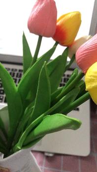 Product Review of Hoa Giả - Hoa Tulip nhiều màu sắc trang trí xinh xắn, nhẹ nhàng, phụ kiện decor phòng Hoa Sen from H**i T**g 2