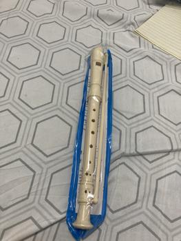 Product Review of 1PCS 8Holes Professional Flute Sound Easy Adjustable ABS Non-toxic Six/Eight Hole Treble Flute Soprano Recorder Clarinet from G**a 1