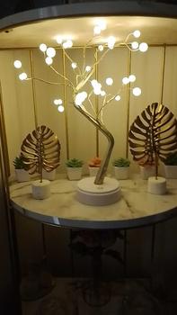 Product Review of Lampu Tidur Model Pohon Ranting Unik Colokan USB / Tenaga Baterai Dekorasi Kamar Kawat Tumblr Led/Led Tree Romantic Night Light Meja Samping Tempat Tidur Hadiah Ulang Tahun Lamp Led Plastik from u**2 0