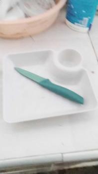 Product Review of จาน จานมีช่องน้ำจิ้ม จานหลายสี จานหลุมน้ำจิ้ม จานใส่อาหาร ถาดใส่อาหาร จานใส่เกี๊ยว from p**u 0