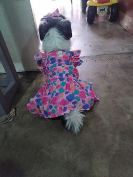 Product Review of Pet Dress Floral Pattern Pleated Hemming Windproof Pet Vest Puppy Flying Sleeve Clothes for Spring from S**🇭 0