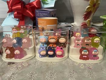 Product Review of Hộp Đựng Mô Hình Mini, Popmart, Bubble Mart Mini, Bảo Quản Đồ Chơi Sạch Sẽ Chống Bụi, Chống Nước from t**6 0
