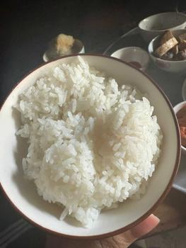 Product Review of NẤU CƠM NGON * Nồi cơm điện L8 Gukdo Quai xách rời Cao cấp công nghệ Hàn quốc - Bảo hành 12 tháng Cooker Nấu Ăn from L**e 1