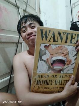 Product Review of One Piece Wanted Poster 24pcs Set Anime Peripheral Home Wall Decoration gifts for boys children kids Ornaments Room Artistic Print Photo from K**a 0