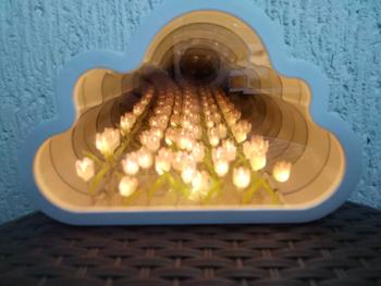 Product Review of Tulip Lamp Light DIY Cloud Tulip Night Light Led Mirror Lamp Atmosphere Material Handmade Lamp Desktop Decor Birthday Gift cloud room from R**a 3