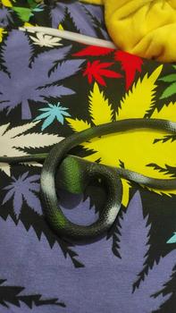 Product Review of UG Rubber Snake Toy Random color from t**s 0