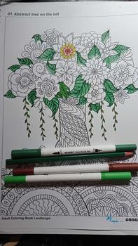 Product Review of Adult Coloring Book Landscape Panorama, Buku Mewarnai Dewasa Pemandangan Anti Stress from e** b**i p**i 0