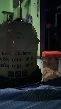 Product Review of Hugo Round / Square Jar 12, 15, 20 Liter Lion Star / Toples Bulat Kotak Serbaguna / Tempat Kerupuk from B**a N**a 0