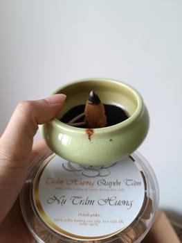 Product Review of 1 Hộp Nụ Trầm Hương Quyền Tâm loại phổ thông Dầu Thơm Phòng from Đ**g N**t 0