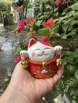 Product Review of 【Hot】 Hũ Tiết Kiệm Mèo Kèm Thảm Decor Decor Phòng Ống Heo Đựng Tiền Ống Tiết Kiệm from s**9 0
