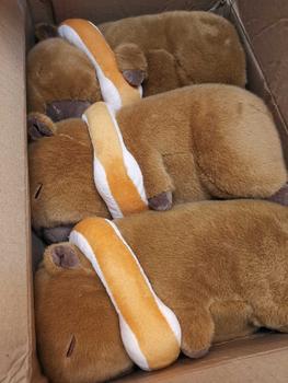 Product Review of CODหมอนตุ๊กตาเต่าคาปิบาราน่ารัก capybara ตุ๊กตาคาปิบาร่า คาพีบาร่า เหมาะกับของขวัญวันเกิด from เ**ร 0