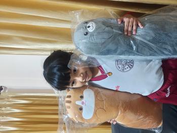 Product Review of **มี 7ลาย** หมอนข้าง  หมอนข้างหมา หมอนข้างแมว หมอนข้างไดโนเสาร์ หมอนข้างหมู หมอนข้างตุ๊กตา 60cm from 🌻**🌻 2