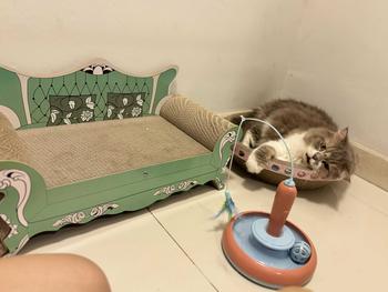 Product Review of ของเล่นแครอทไฟฟ้า ของเล่นแมว รางบอลแมว พร้อมไม้ตกแมว แครอทอัตโนมัติ from B**o 0