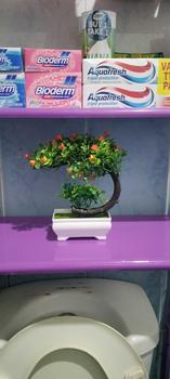 Product Review of Artificial Flower fake plant bonsai pot potted ornaments topiary trees W white pots artificial flowers decorative flowers from r**e 2