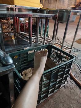 Product Review of Giày dép cao cấp SENSINI quai mảnh BIG SIZE (34-43)  gót cao 5cm ( MS: HN3044) from p**m t**o 1