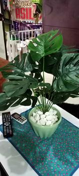 Product Review of White marble stone(1kg) from E**N 1