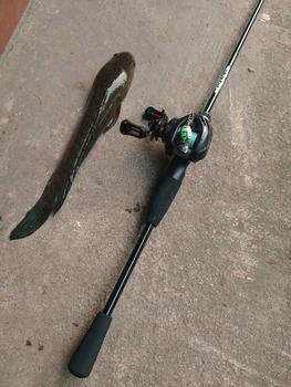 Product Review of Máy câu ngang proberos P4 nhẹ có tiếng drgalciker Lure Câu Cá Đi Câu Fish Fishing Câu Lure from C**í m** t**h c** 🎣** 3