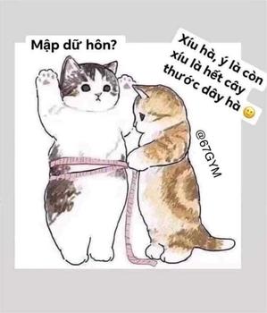 Product Review of [ Xả kho 2 bộ ] Lụa mango nhiều hoạ tiết có tay ngắn/ tay dài màu ngẫu nhiên trên live from L** T**n 0