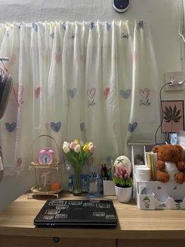 Product Review of Hoa Giả - Hoa Tulip nhiều màu sắc trang trí xinh xắn, nhẹ nhàng, phụ kiện decor phòng Hoa Sen from M** m** 0