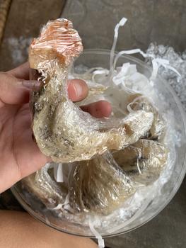 Product Review of Tổ Thô AB (tổ lớn) GIÀ ĐẸP ÍT LÔNG - Tổ Yến biển Miền Trung from 🍄**🐰 1