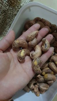Product Review of 1Kg -(2 Tui) HẠT ĐIỀU RANG MUỐI TÚI HÚT CHÂN KHÔNG 500gr - LOẠI A Hữu cơ Snack Ăn Vặt Food Nuts hatdinhduong to t cho babau hạtdinhduong from M** c**p M**G 0