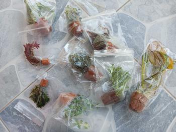 Product Review of เกล็ดหอยชมพู/โรทาลาชมพู พร้อมกระถาง(Rotala sp. ‘Pink’) ใส่ตกแต่งตู้ปลาสวยงาม from ม**ม 0
