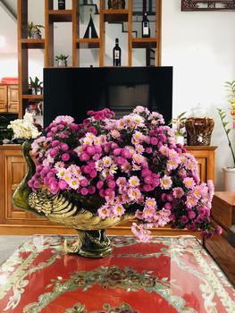 Product Review of Bình hoa con công composite mã bh213, lọ cắm hoa cao cấp, lọ hoa trang trí Decor from P**g O**h 0