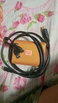 Product Review of T&G TG-313 TWS  Bluetooth V5.0 Wireless Mini Portable Stereo Bass Speaker with Strap Audio Device Smartphone from V**n M**l 0