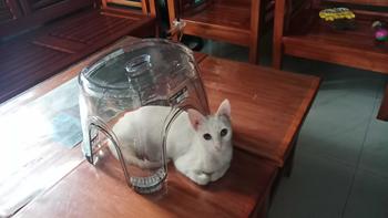 Product Review of MOC SHOP Transparent ACRYLIC CHAIR Plastic Stool Shoe Changing Stool Non-slip Stool Small Square INDOOR from b**a 0