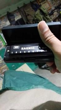 Product Review of 10 Hole Harmonica Mouth Organ Puzzle Musical Instrument Beginner Teaching from D**s T** 1
