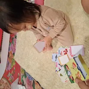 Flashcard 48-54 Kartu Laminasi Glossy Card mainan anak edukasi 1 tahun
