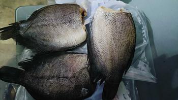 Product Review of Khô Cá Sặc Bổi Vị Vừa Ăn Không Đầu Size 6 con 1 ký Food from L**A T**n 0